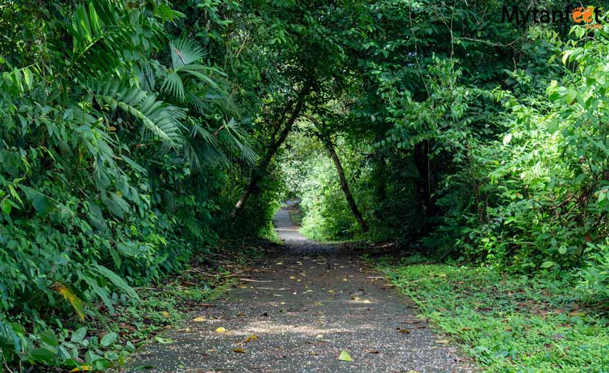 arenal volcano national park peninsula sector trail