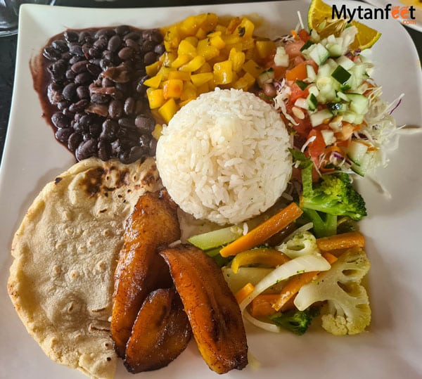 vegetarian costa rican food