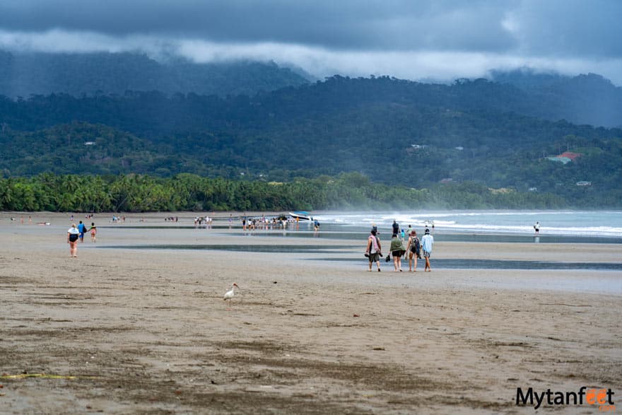 marino ballena national park playa uvita