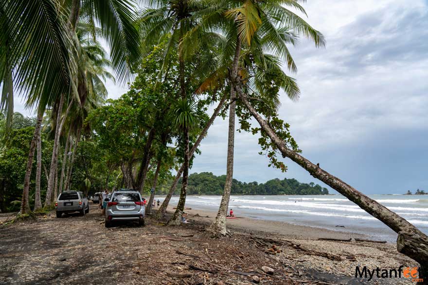 playa dominicalito how to get there