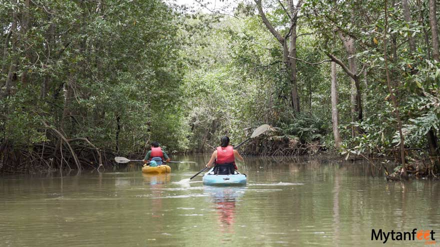 Costa Rica Travel Guide  Costa Rica Tourism - KAYAK