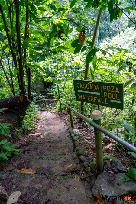 Uvita waterfall trail