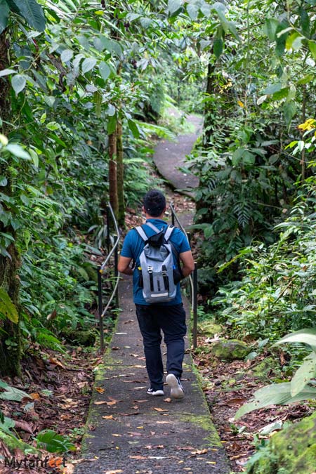 nature trails