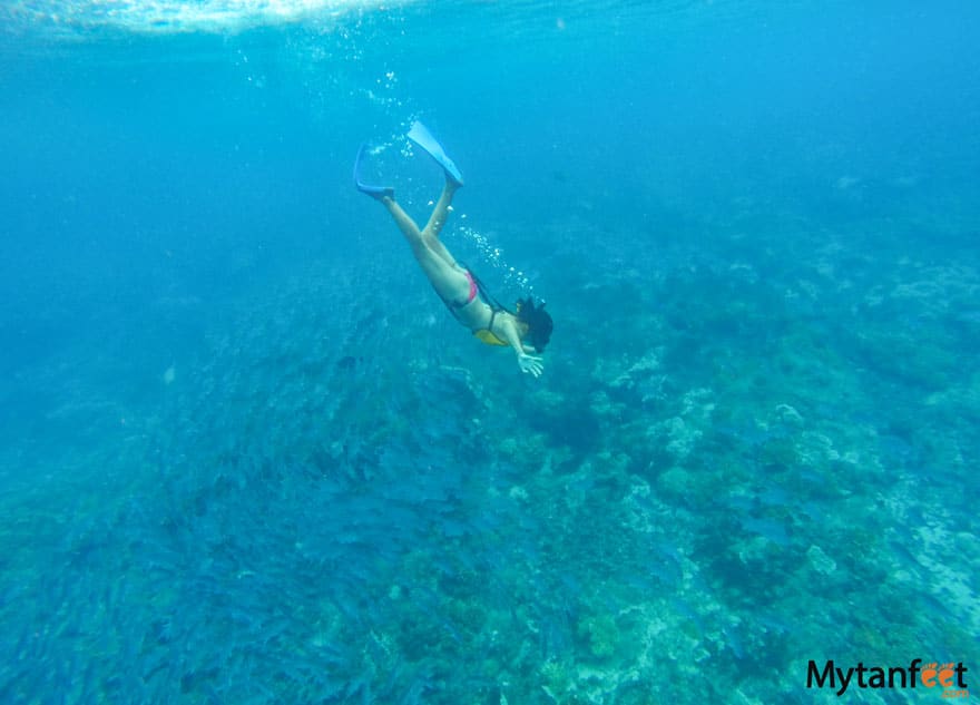 Cano island snorkeling