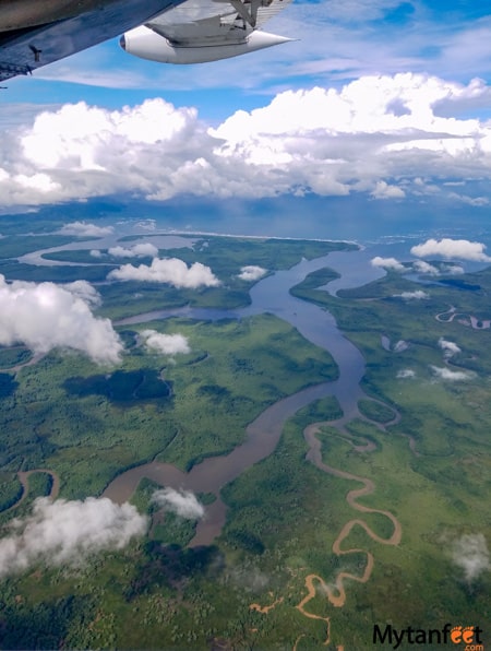 view from local flight 