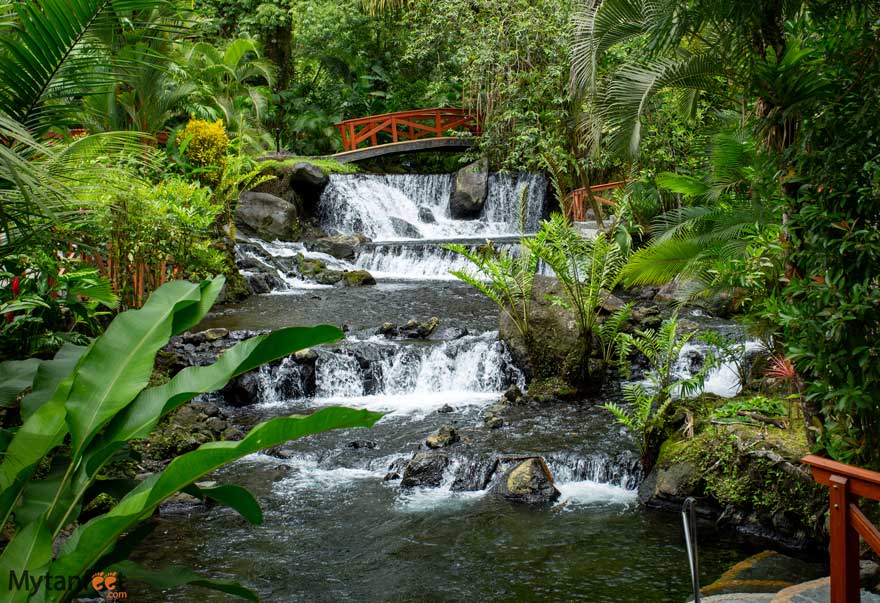 Tabacon hot springs 