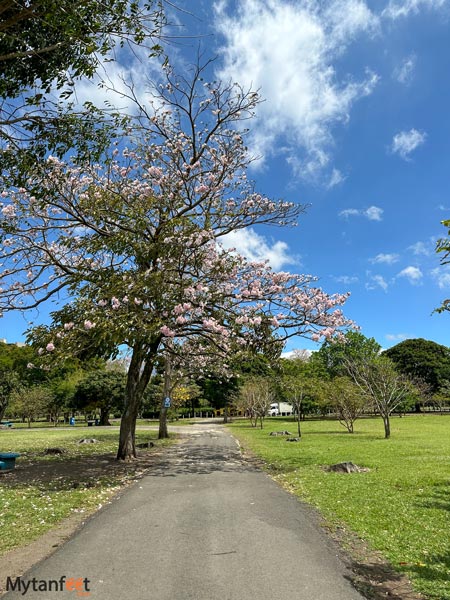 tourist attractions san jose costa rica