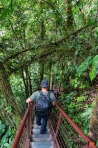 La Paz Waterfall Gardens: Waterfalls, Rainforest, Animals