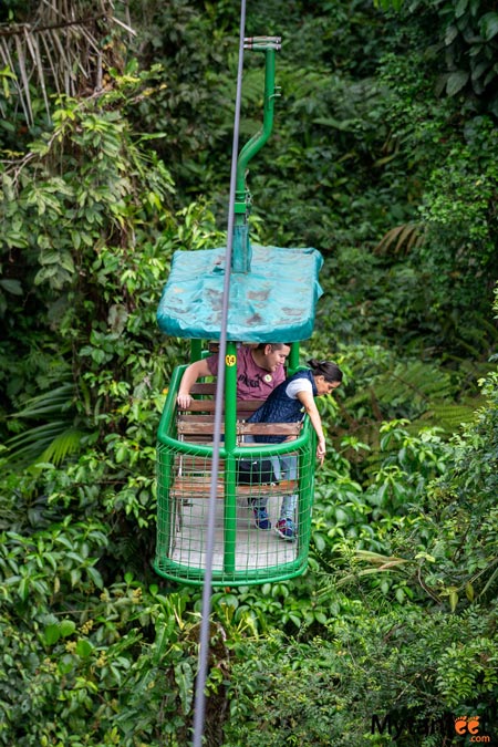 rainforest adventures aerial tram