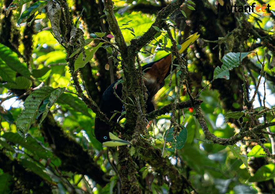 rainforest tour from san jose, costa rica