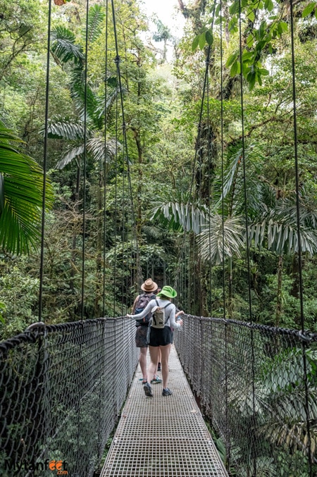 A woman is walking on a hanging bridge surrounded by the rainforest at Mistico Arenal Hanging Bridges Park, Costa Rica 