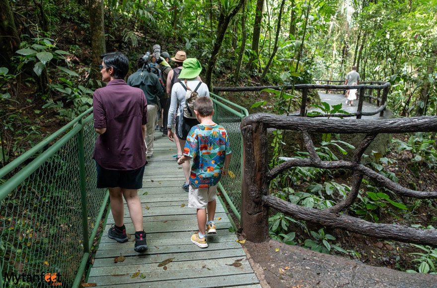 A group of people including a young boy, a woman and a group of adults dressed in hiking gear are walking on a bridge in the rainforest in Costa Rica 