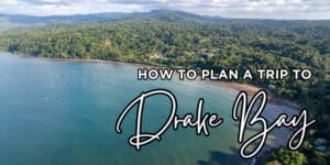 drake bay featured image