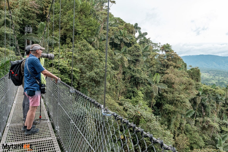 Two men are walking on a hanging bridge in the rainforest in Costa Rica