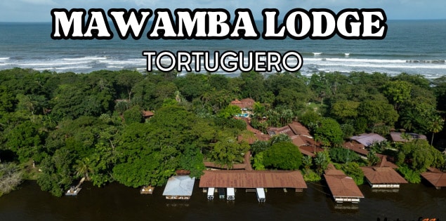 mawamba lodge featured