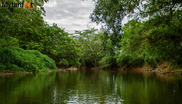 pure-nature-safari-float-river