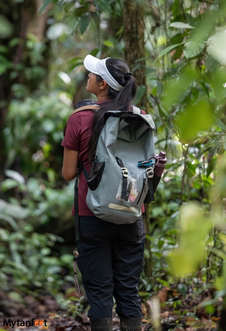 an asian woman is wearing outdoor hiking clothes and a backpack, holding a camera, wearing a white visor with her hair in a pony tail, she is standing in the middle of a rainforest, looking up to the left. Taken in Corcovado National Park, Costa Rica 
