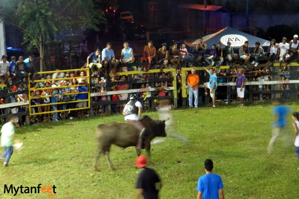 things to do in costa rica - fiestas civicas