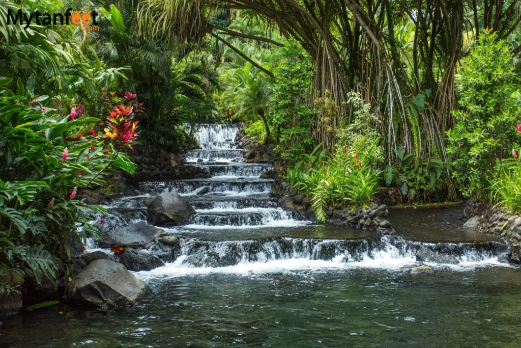 Tabacon hot springs