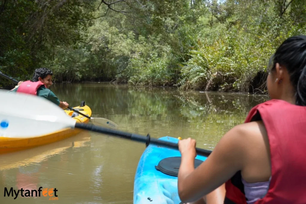 things to do in costa rica - mangrove kayak