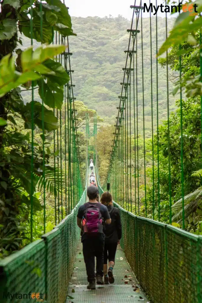 things to do in costa rica - monteverde hanging bridges