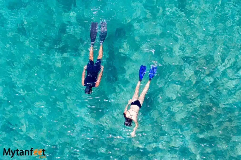 things to do in costa rica - snorkeling