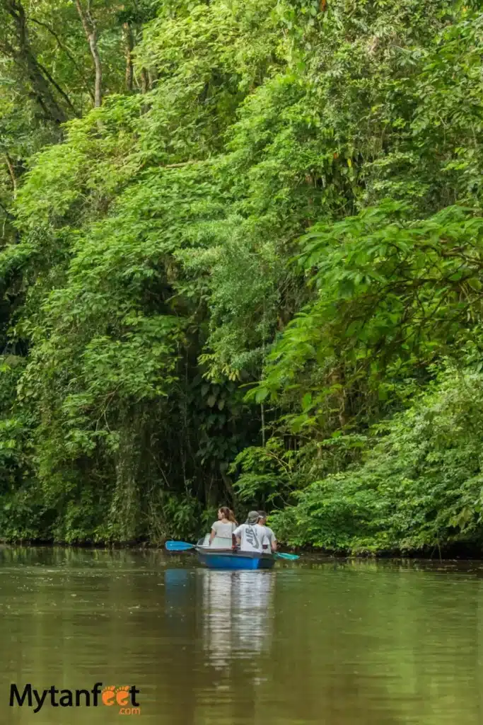 things to do in costa rica - kayak in tortuguero