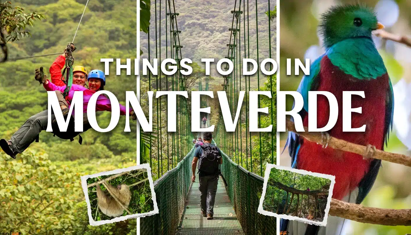 Incredible Things to Do in Monteverde