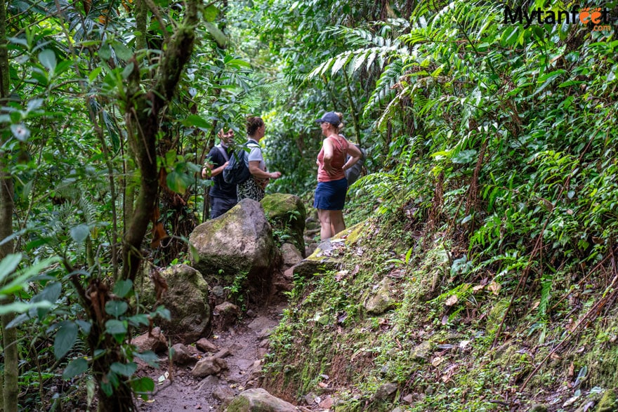 Tenorio Volcano National Park trail to laguna azul - a group of 3 adults in hiking gear are talking while on a trail in the rainforest 