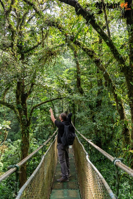 things to do in tamarindo with kids - a rainforest walk. A man dressed in hiking gear and carrying a telescope is walking on a hanging bridge surrounded by rainforest, pointing at something in the trees in Costa Rica 