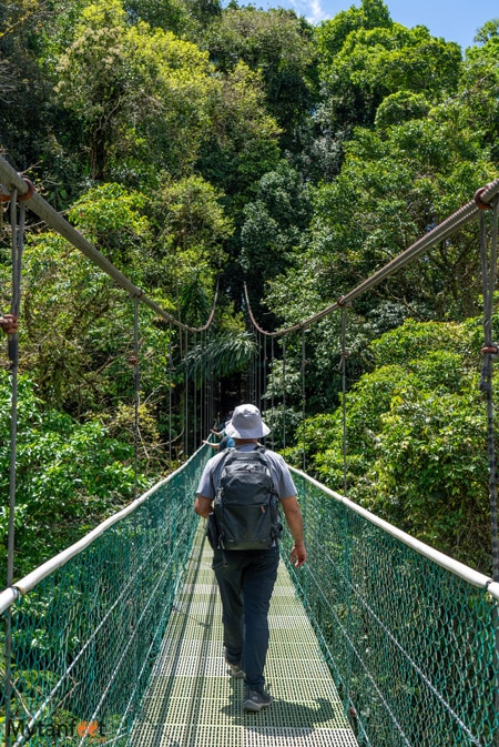 A man in hiking gear with a backpack and hat is walking on a suspended hanging bridges through the rainforest in Sky Adventures in la Fortuna 
