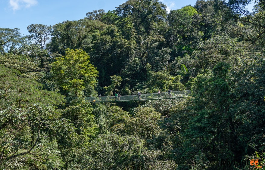 Hanging bridge suspended in the rainforest, in Sky Adventures, La Fortuna, Costa Rica 