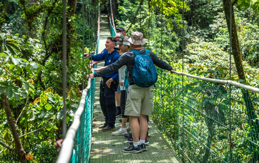 A group of adults in hiking gear are on a hanging bridges, and a young guide in a blue shirt is pointing at something with his flashlight. In La Fortuna, Costa Rica 