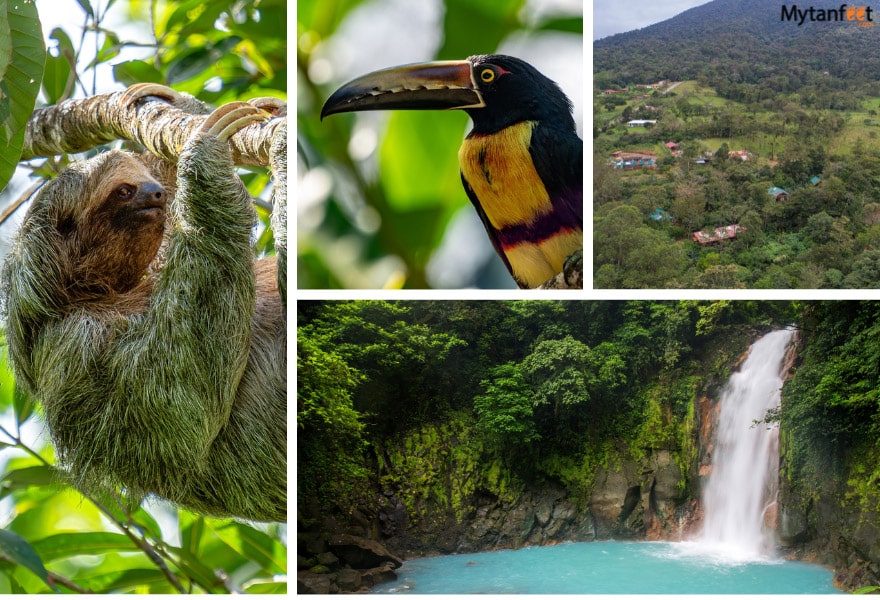 Costa Rica in 8 days: Bijagua