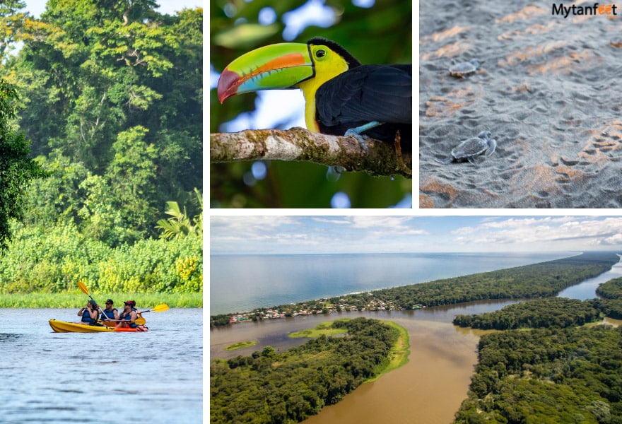 Costa Rica in 8 days: Tortuguero