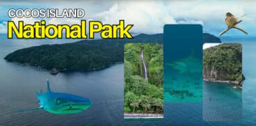 cocos island national park featured image