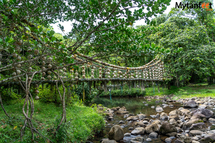 Puente el Copey on Cocos Island, Costa Rica