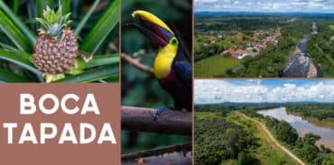 boca tapada