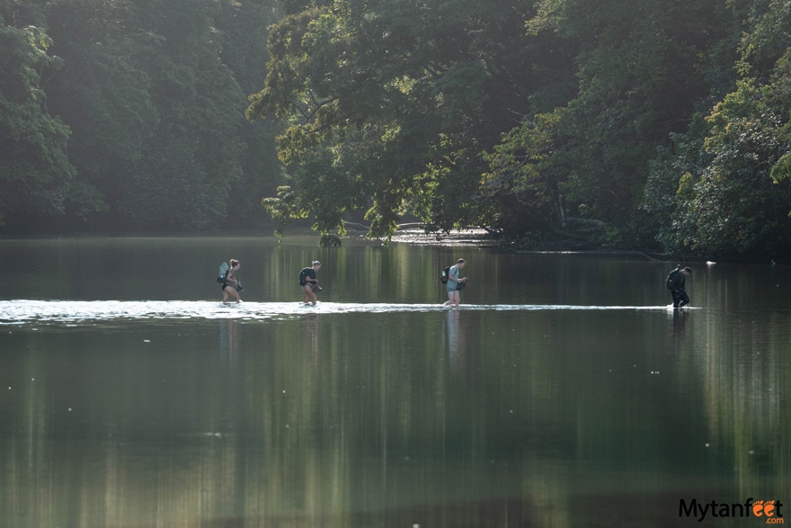 4 adults wearing bakcpacks and hiking gear are wading through a river in Corcovado National Park, Costa Rica 