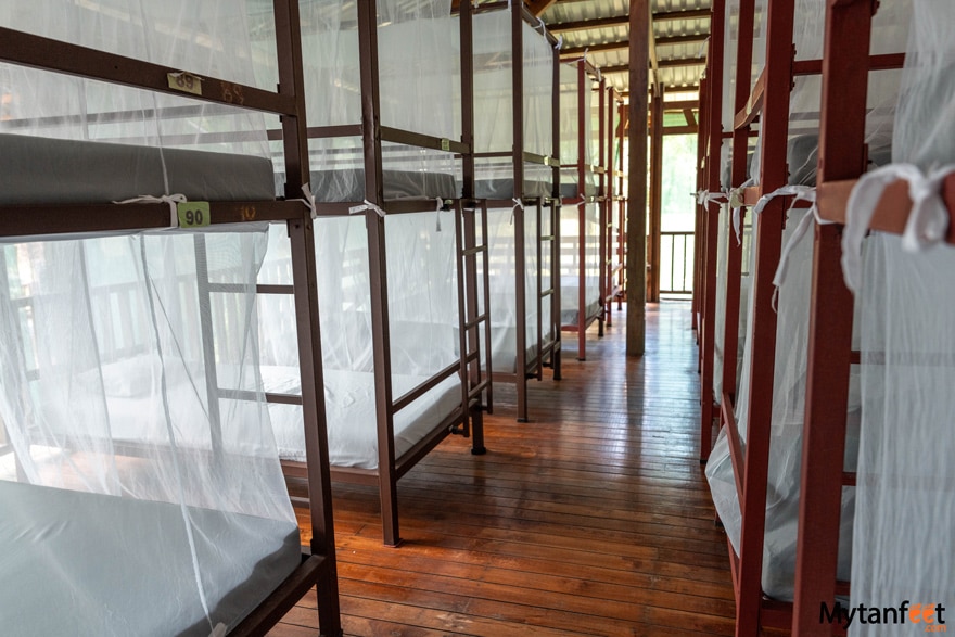 bunk beds covered in mosquito nets in the Sirena Station 