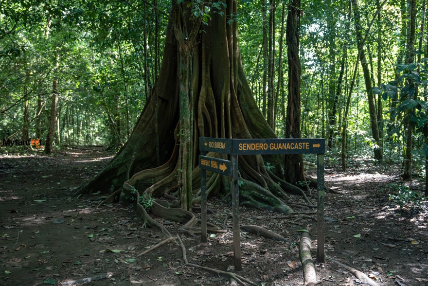 corcovado national park sirena station 