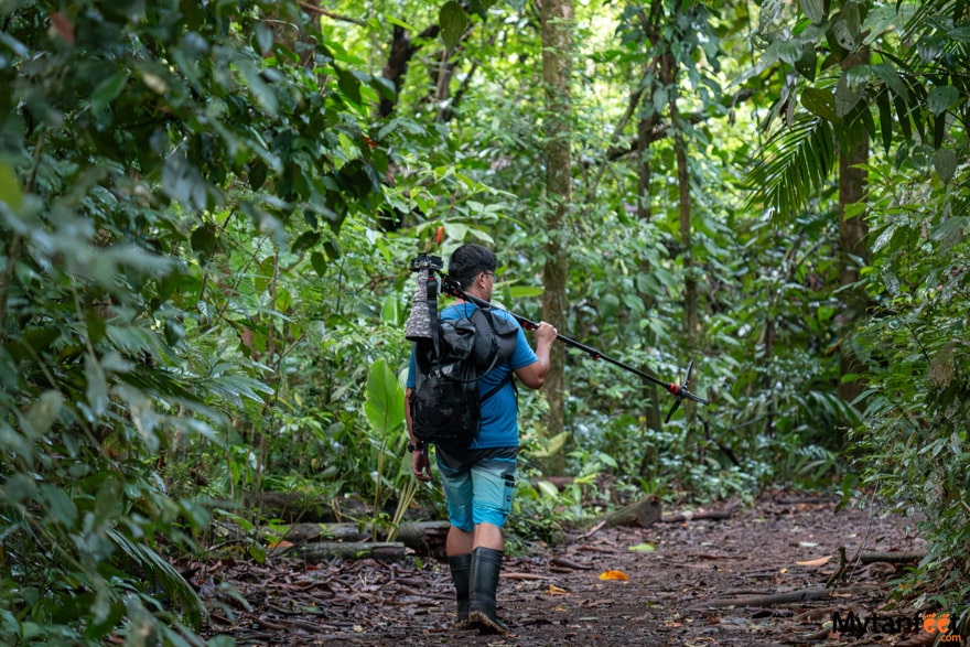 Sirena station trails - a man holding a camera and tripod in hiking gear, wearing rainboots is walking on a dirty path inside the tropical rainforest in Corcovado National Park, Costa Rica 