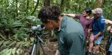 mistico arenal hanging bridges tour with transportation booking page featured image.webp