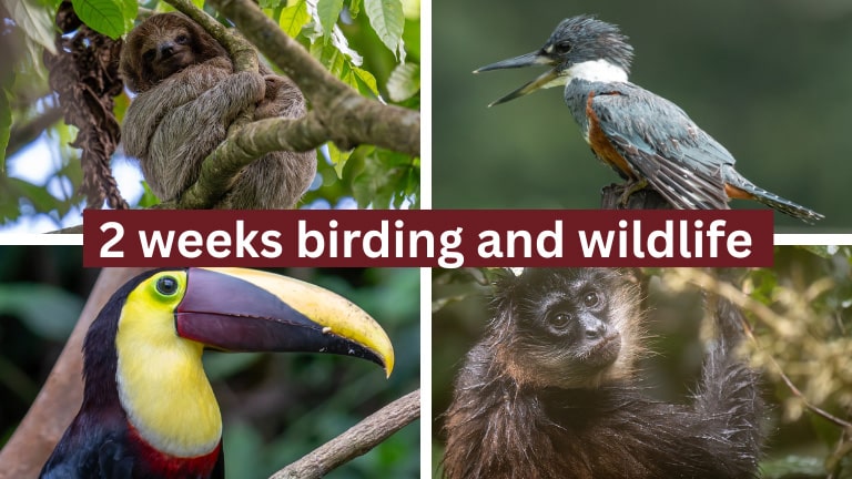 costa rica itineraries 