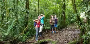 childrens eternal rainforest hike tour booking page featured image