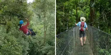 congo combo arenal hanging bridges canopy tour booking page featured image