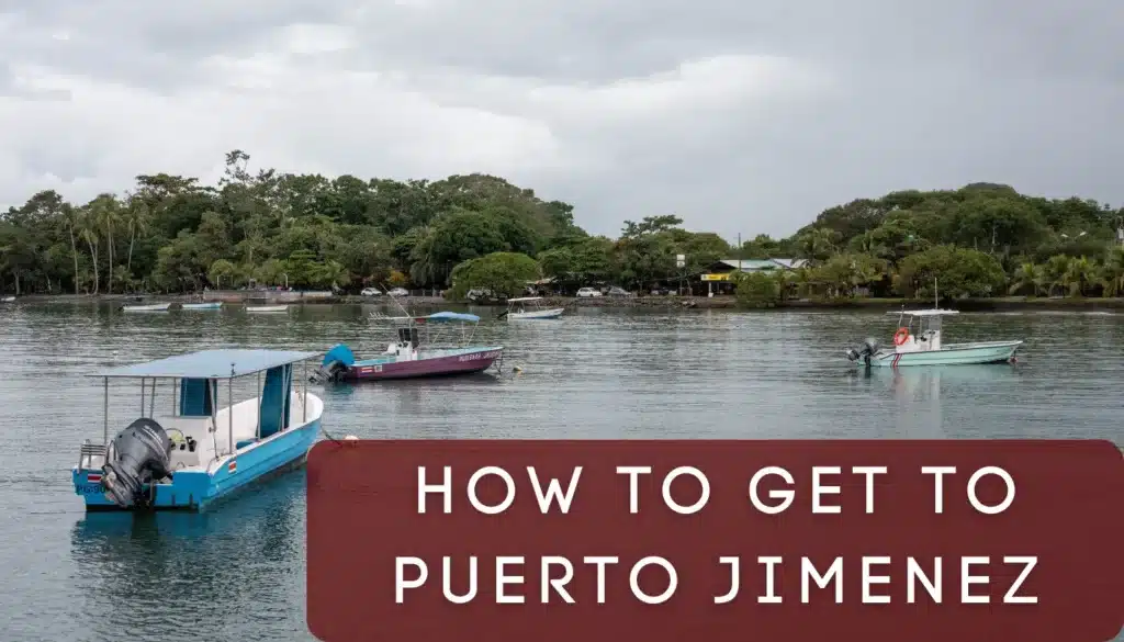 how to get to puerto jimenez