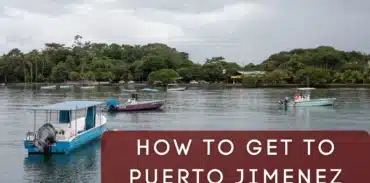 how to get to puerto jimenez