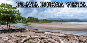 playa buena vista