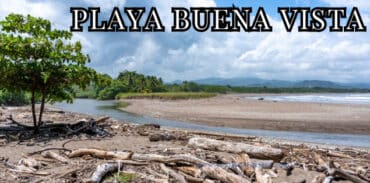 playa buena vista